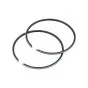 Piston Ring set 43X1.5B Citta/Ciao