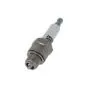 Spark Plug Denso W22FS-R