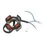 Electronic Ignition Polini Seperate Puch Maxi