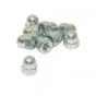 M10 Cap nut Galvanized Din 1587