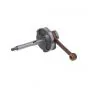 Crankshaft Nuova Citta/Ciao Standard AMT002