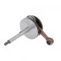 Crankshaft Simonini P12 Engine 07