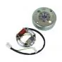 Ignition + Flywheel Simonini Engine Vespa