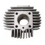 50CC Cylinder Puch Maxi Athena Reed valve block 