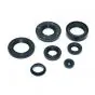 Seal set Yamaha FS1