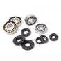 Bearing/Seal set Puch 3G Foot gear
