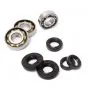 Bearing / Seal set Puch 2G Hand gear Budget