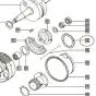 Pressure spring Clutch Tomos