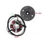Ignition Kokusan EVO 2 Plus 6V Puch