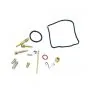 Carburetor Rebuild Kit 24MM Mokini