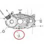 Drain plug Zundapp SS + Sealing