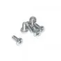 Cylinder screw SS M5X12 Din 7985H