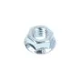 M6 Flange nut Galvanized Din 6923