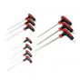 Allen key T-Handle set 10-Pieces