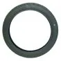 17 Inch Deestone Lined D85 2.50X17 