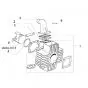 Separate Parts Polini 65CC Cylinder Puch