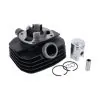 50CC Cylinder Sachs / Hercules 5.8HP DMP