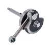 Crankshaft Nuova Citta/Ciao Race AMT004
