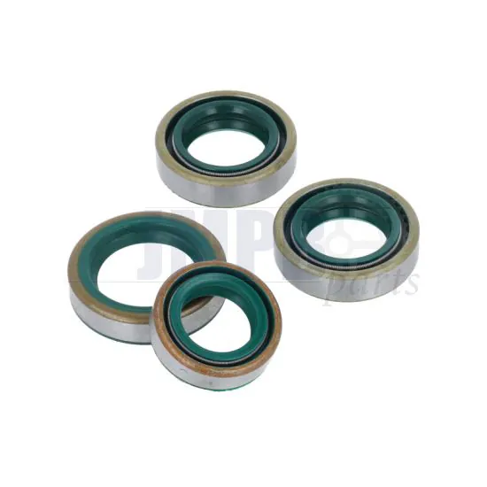 Seal set Complete Kreidler