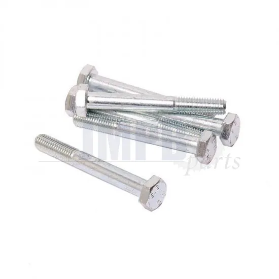 Hex bolt M10X70 Galvanized Din 931