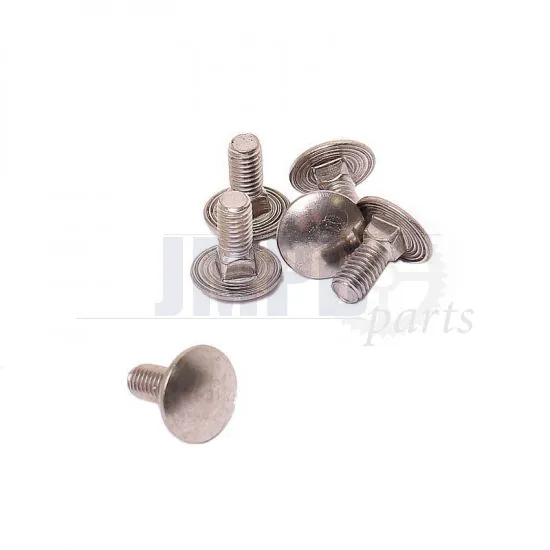 Carriage bolt 5X12 S/S Din 603