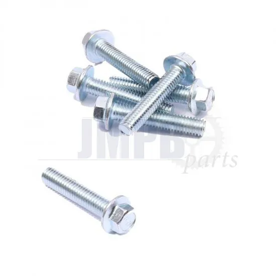 Flange bolt Galvanized M6X30 SW8