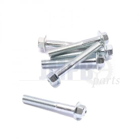 Flange bolt Galvanized M6X40 SW8