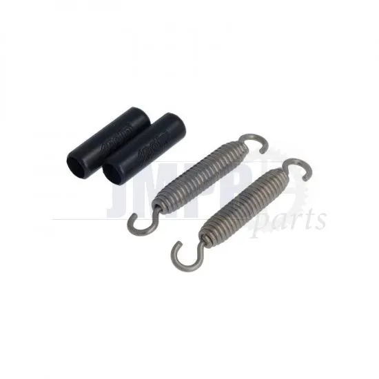 Exhaust spring set 70MM Polini Turnable with Dampers