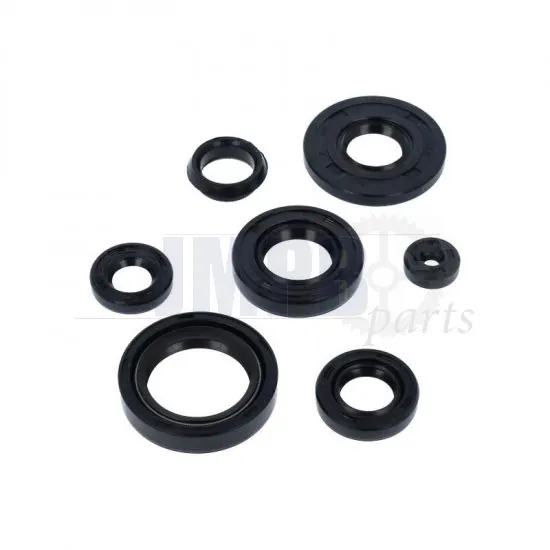 Seal Set Yamaha FS1 New Model