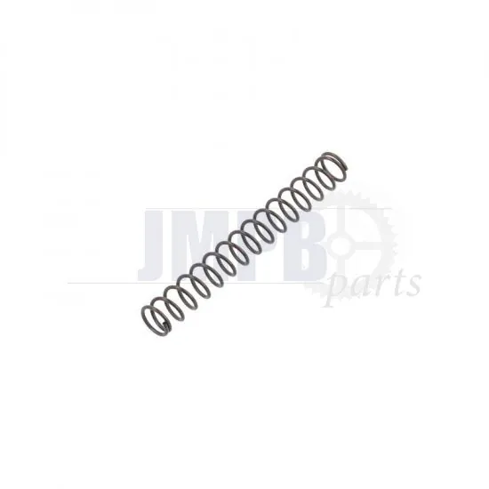 Tickler Spring Bing 20MM