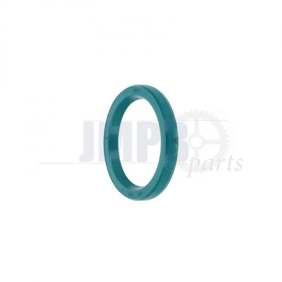 Seal 22X28X4