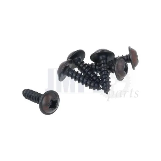 Plate Screw Black 4.2X16MM