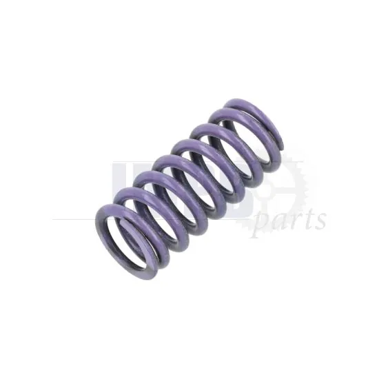 Clutch Spring Purple Yamaha FS1/DT50LC a Piece