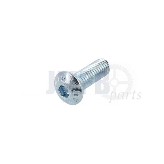 Low Head Screw M5X14 Allen Galvanized ISO 7380