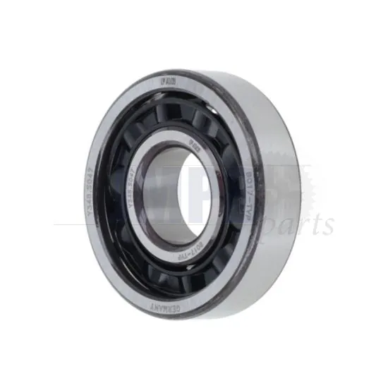 Bearing BO17 FAG Plastics