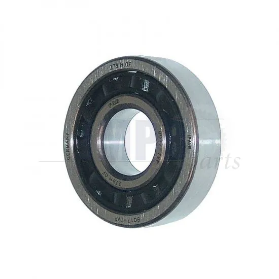 Bearing BO17 FAG Plastics