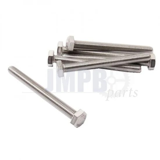 Hex bolt M10-1.5X100 SS Din 933