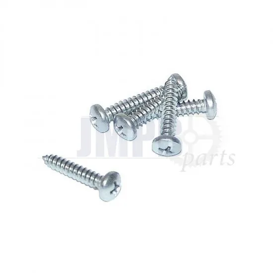 Plate Screw SS 4.2 X 22 Din 7981