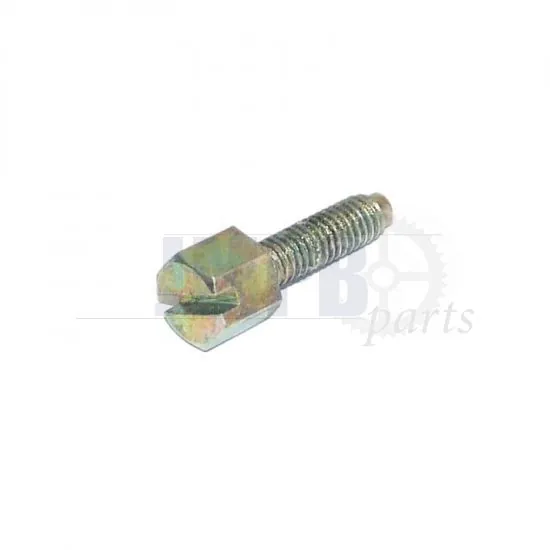 Idle Adjusting Screw Bing 17MM Zundapp