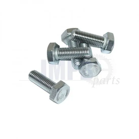 Hex bolt M10X30 SS Din 933