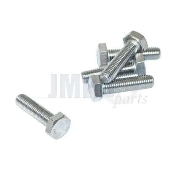 Hex bolt M10X40 SS Din 933