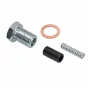 Gear Lock Pawl Set Kreidler 4/5 Speed From 1976